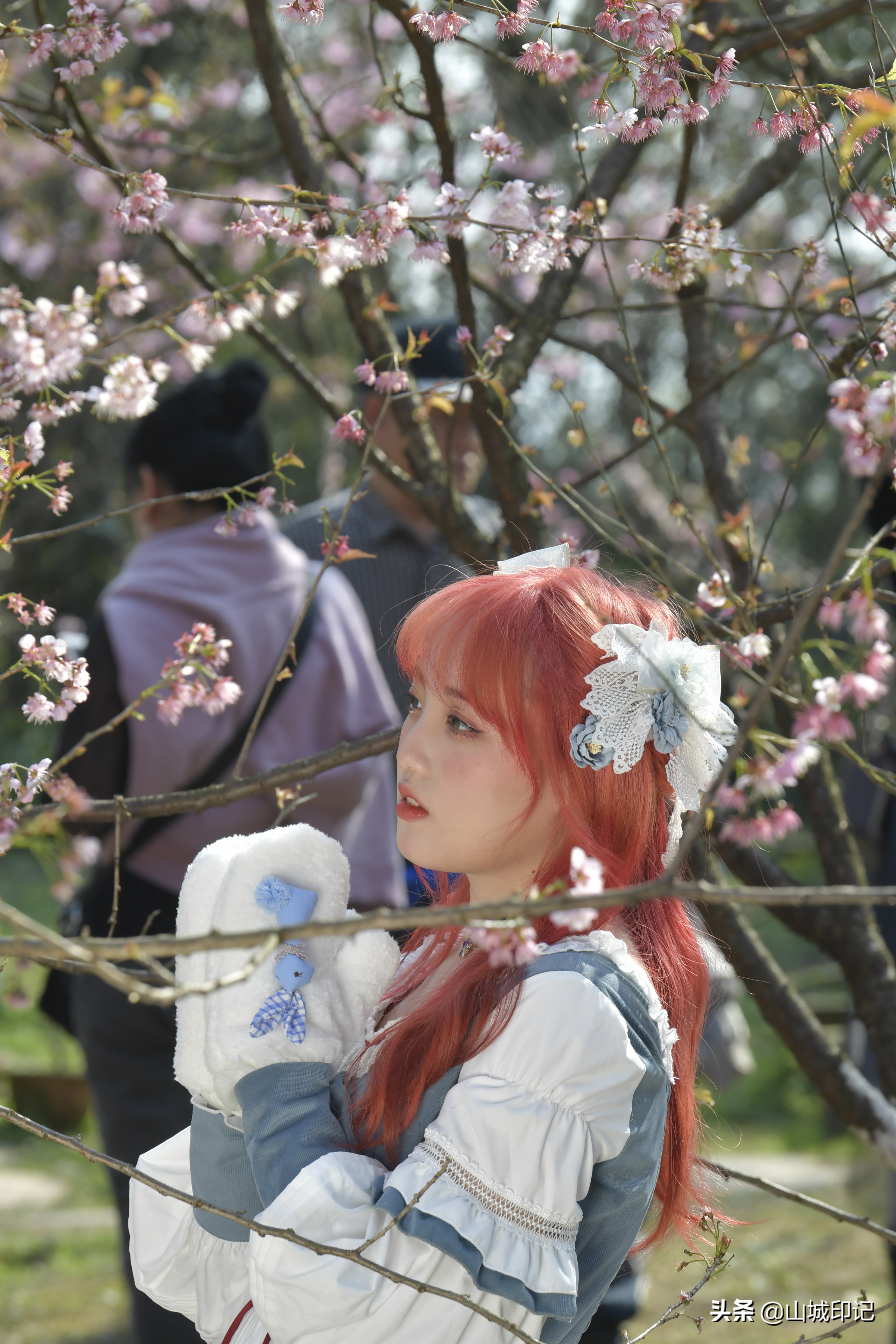 穿日本和服很美很好看,日系和服与樱花拍照姿势