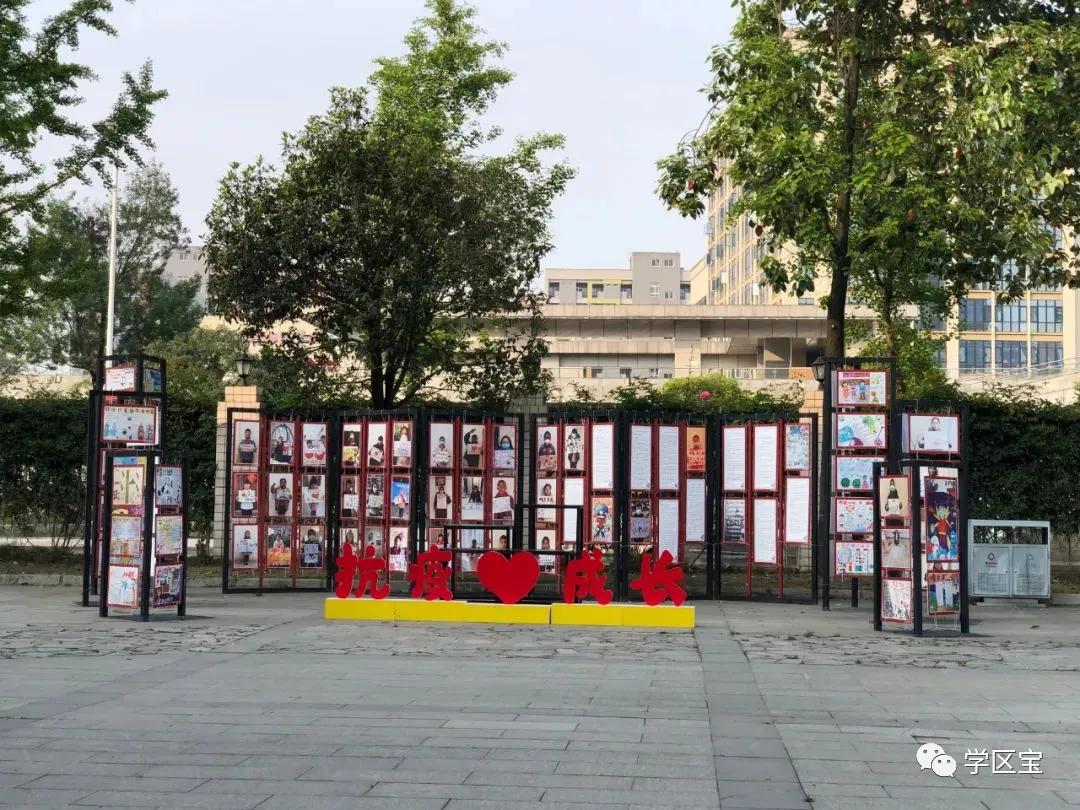 成都泡桐树小学哪个校区最好,泡桐树小学和成都实验小学