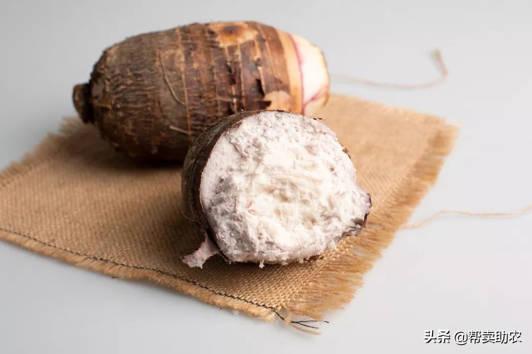 香甜软糯好吃到停不下来芋泥控,粉糯香甜的芋头