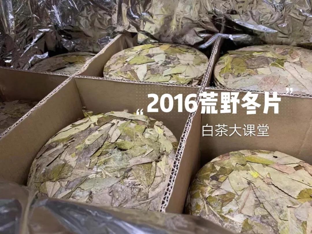 老白茶保存久了闻着没茶味,老白茶深度解读