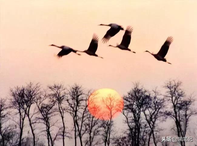 大事发生前有什么预兆,连续两把梳子断了什么征兆