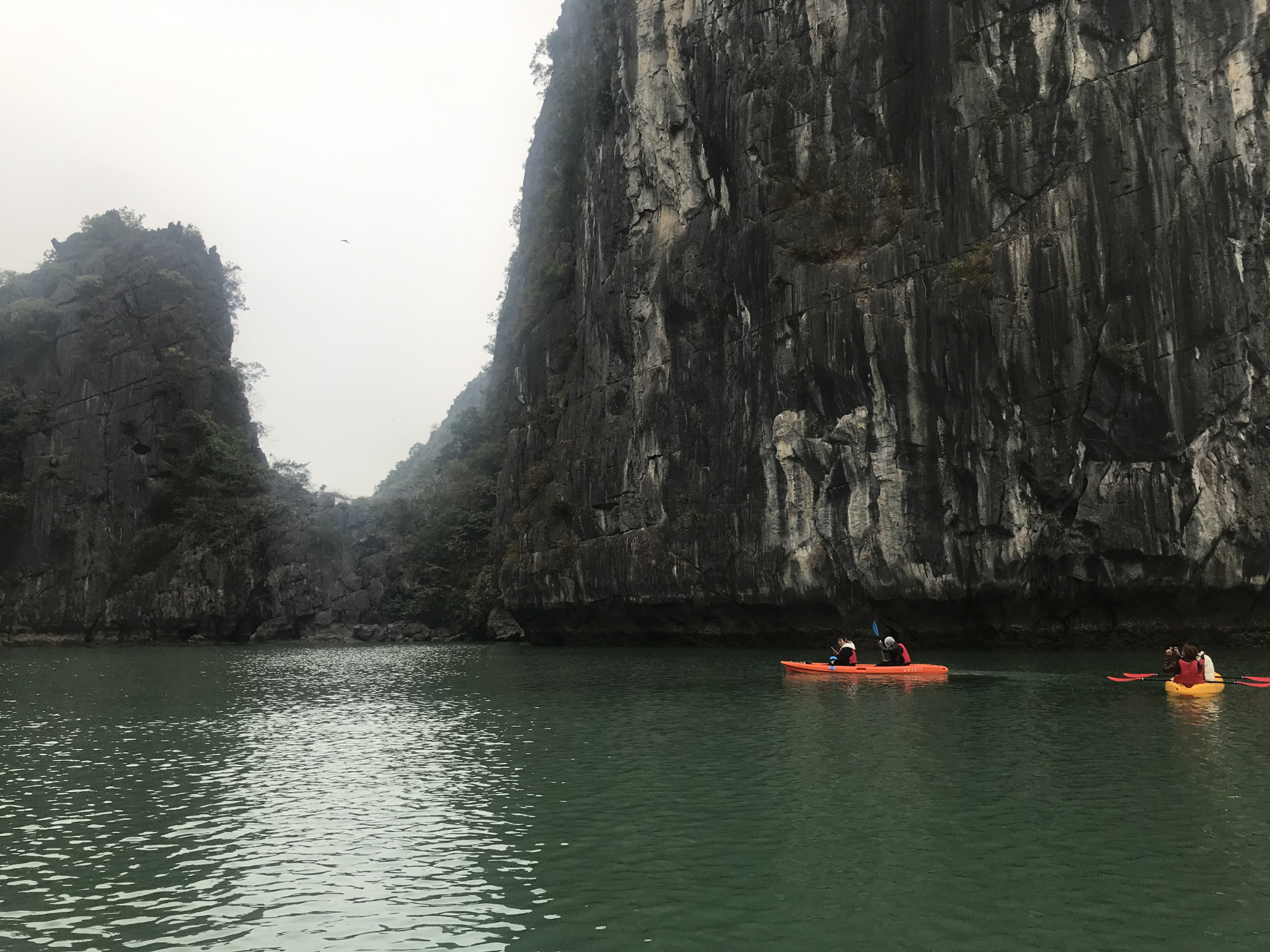 越南海岛旅行,行走在越南街道
