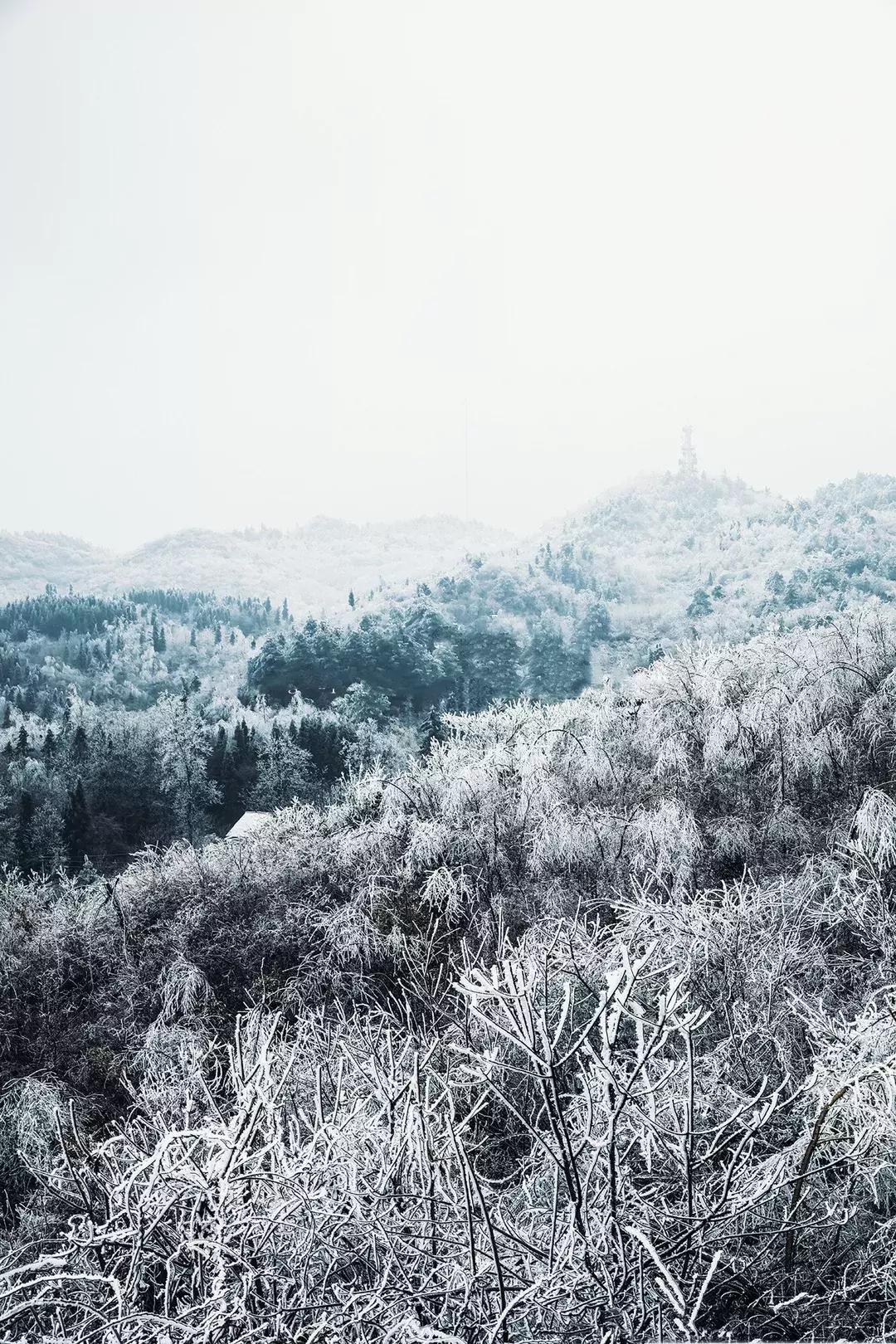 贵阳云雾山云海,贵阳云雾山雾凇旅游攻略