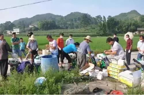井水配药药效减半,井水打药药效减半我们该怎么做