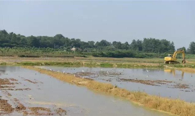 南京市政协委员钱明洁：推广有机食品，苦中有乐，苦中有德