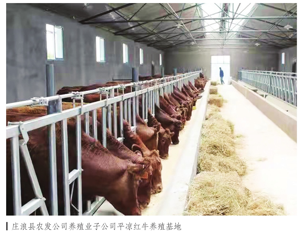 庄浪脱贫攻坚经验,庄浪县发展特色产业助推脱贫攻坚