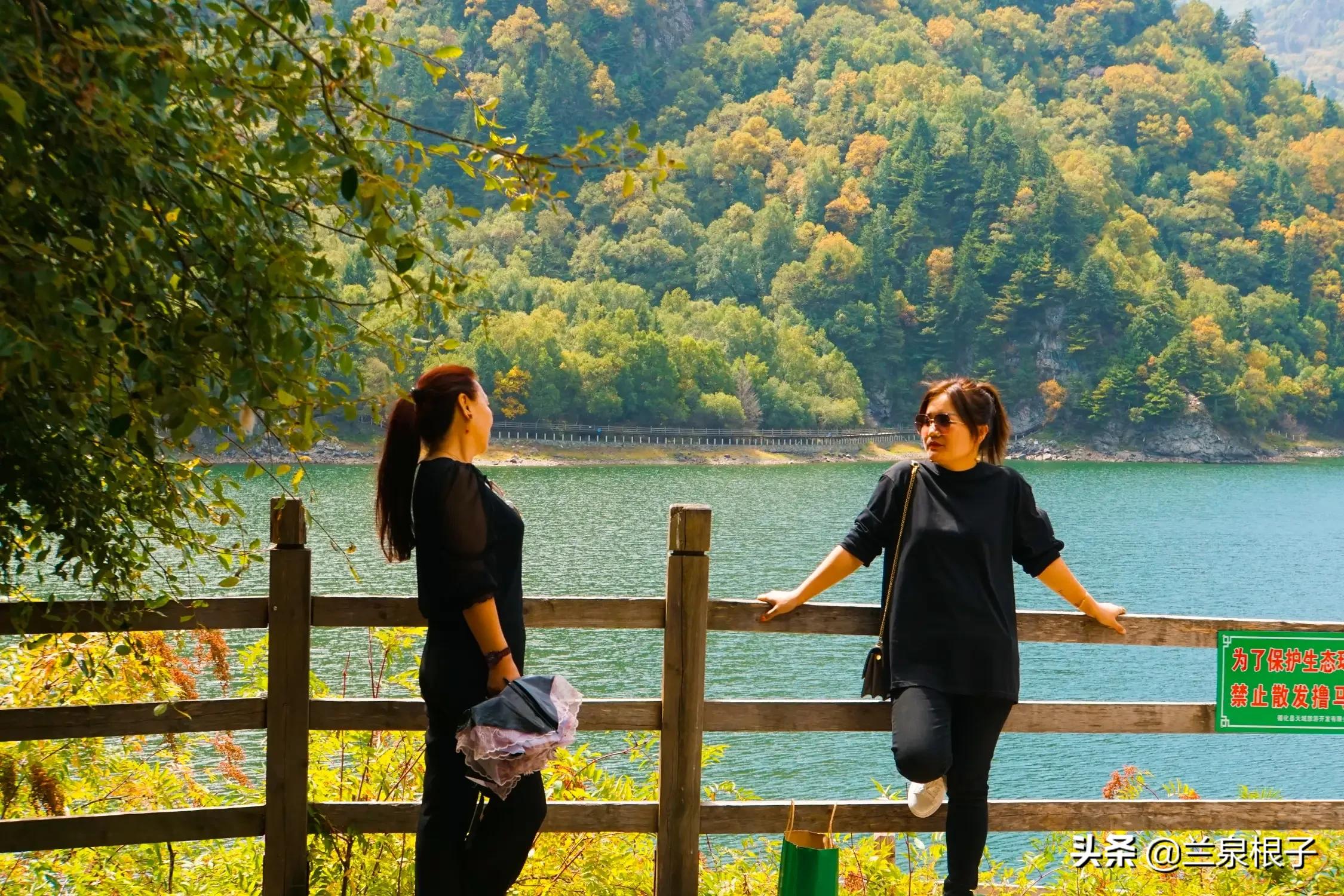 秋日之旅旅游攻略,秋日自驾游视频