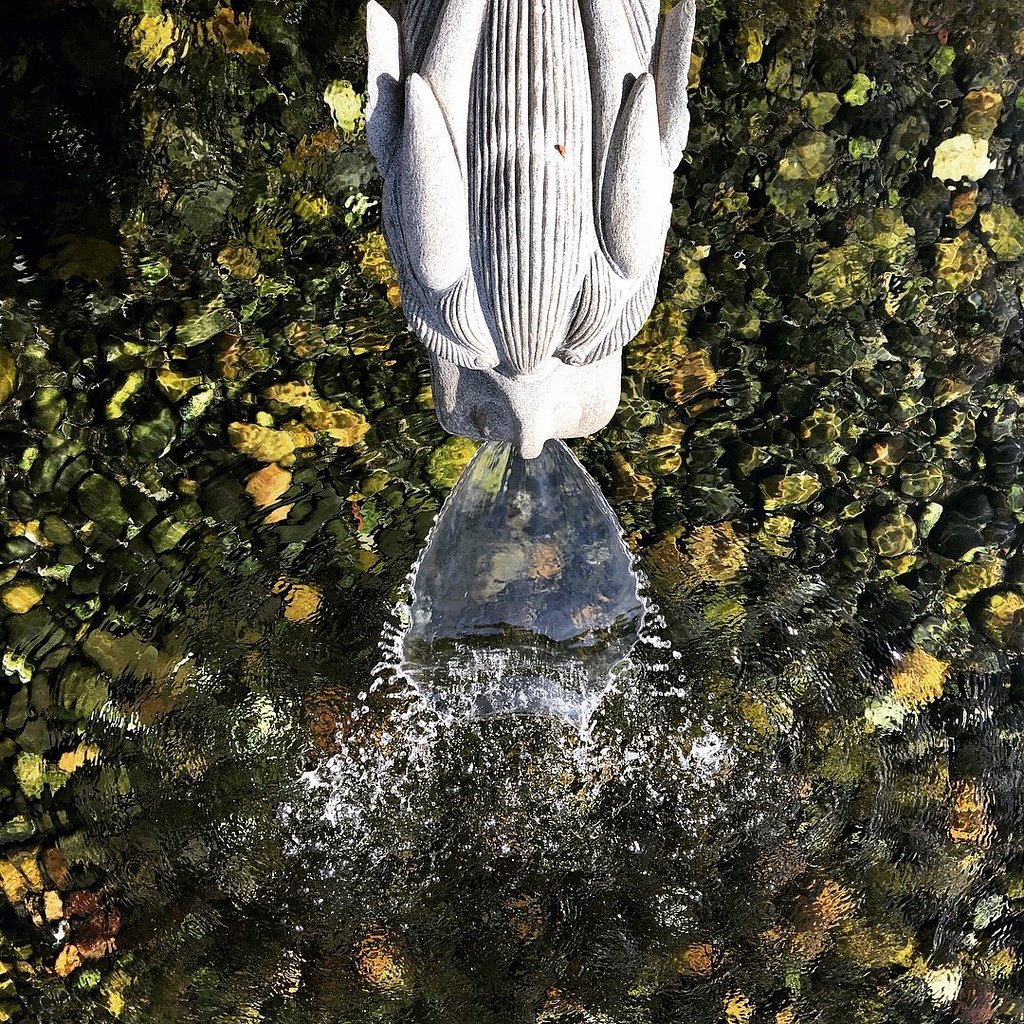 香港志莲净苑地图,香港志莲净苑好玩吗