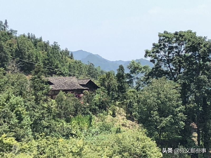 贵州仓更板栗基地地址,贵州板栗在哪里