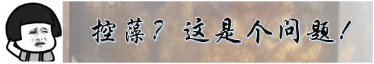 海缸里的绿藻褐藻如何打理,海缸爆藻后怎么除藻
