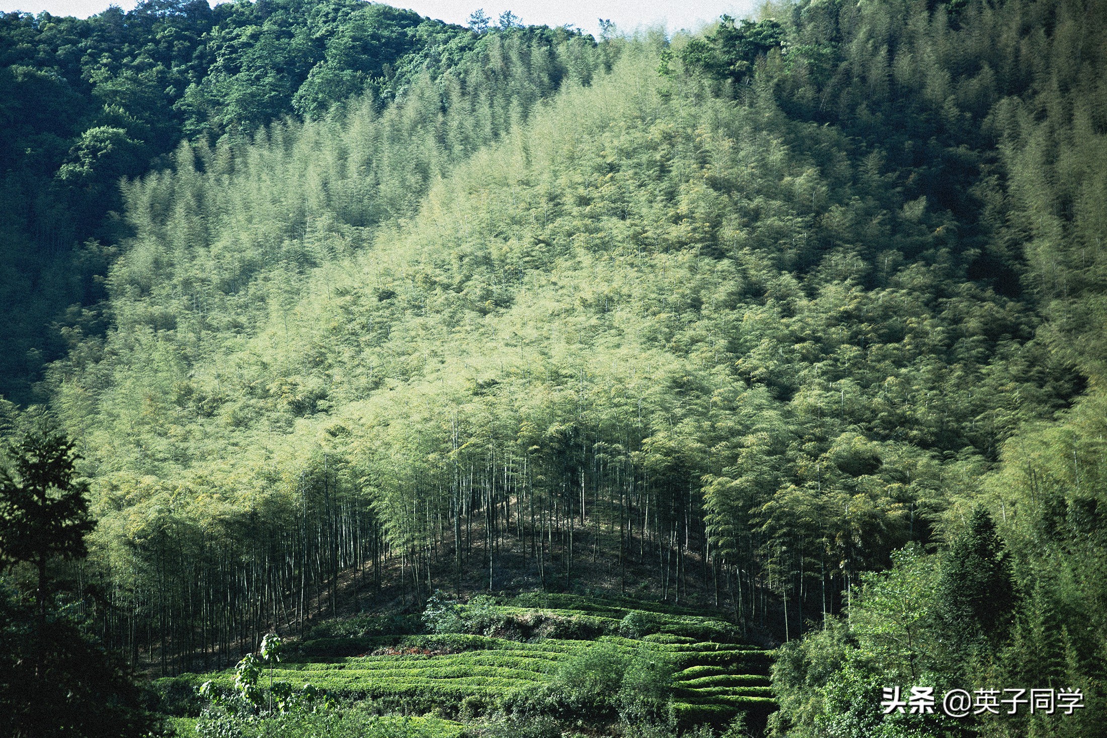 青春旅社拍摄地址,周冬雨民宿图片
