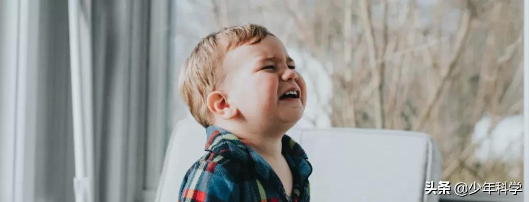 对儿童进行性教育的原因,性教育对儿童的好处