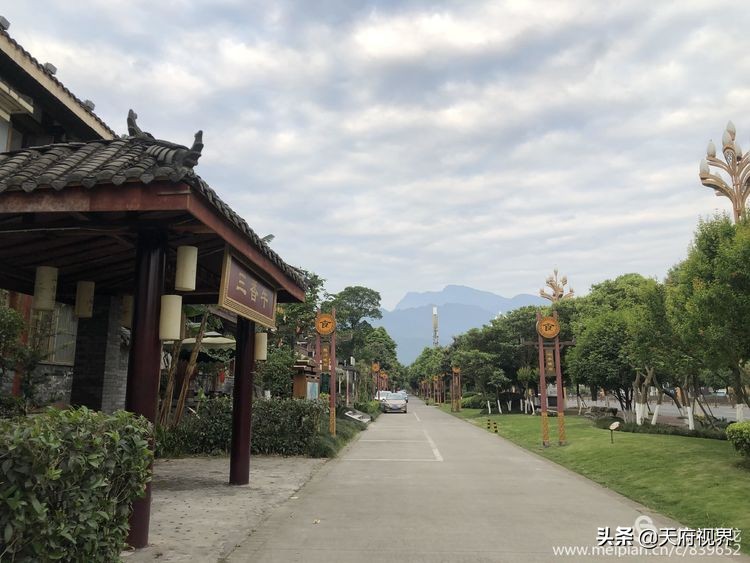 四川黑竹沟之谜,四川黑竹沟探险之旅