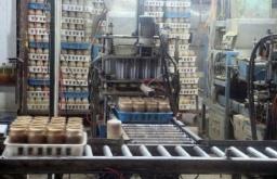 金针菇可以再生吗,金针菇切下根部怎样才能再生