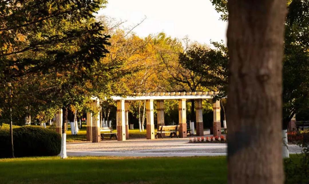 沈阳化工大学辽宁省排名,沈阳化工大学2020招生计划辽宁省