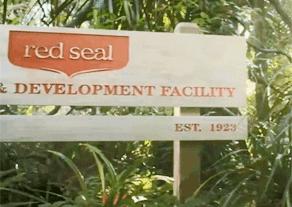 李佳琦给高晓松涂了口红，“美”得不像话？！不过牙齿是真的白