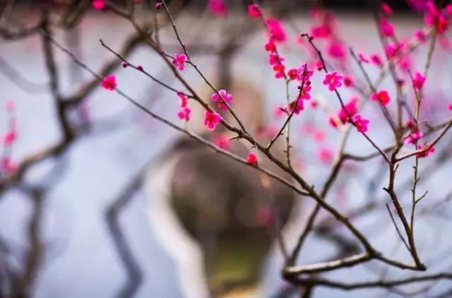 如此才华横溢,才华横溢十首诗