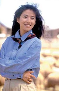 陈明真飞车,陈明真飞车事件