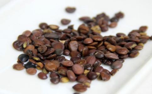 补血安神经常失眠的人可以尝试酸枣仁汤