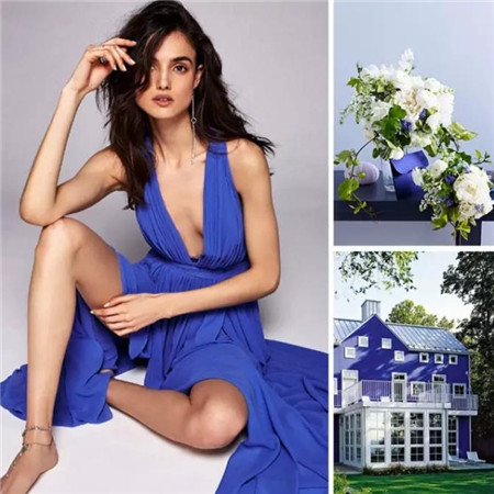 我的蓝朋友原版视频,我的蓝朋友免费完整