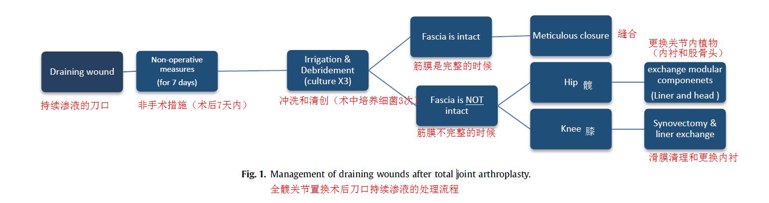 关节置换术后周围胀怎么办,关节置换后一直流水怎么办