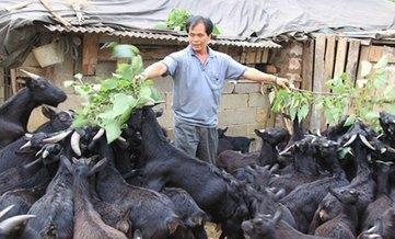 回农村创业项目,大学生回农村创业