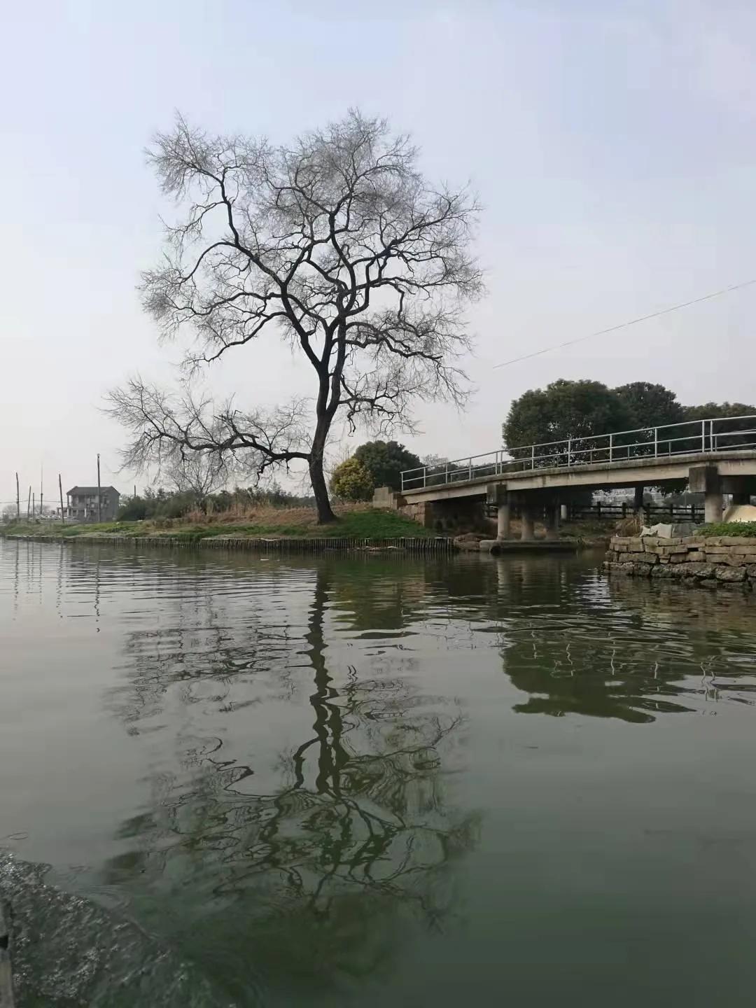 周浦本地人多么,说说老家的事