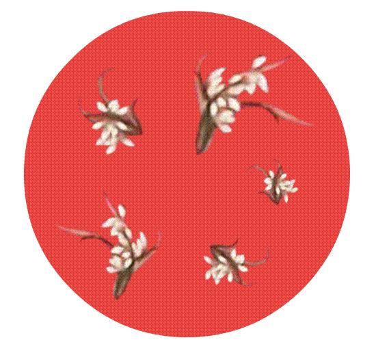 华熙生物联名款,华熙生物故宫联名口红