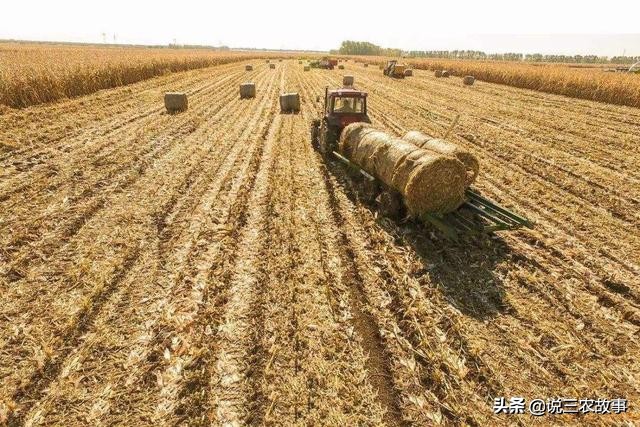 秸秆回收可以做什么建筑材料,新型秸秆墙体板