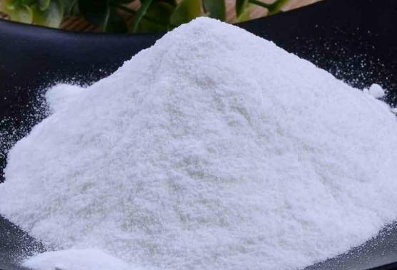 泰迪便秘吃什么最有效,一个半月泰迪便秘怎么快速解决