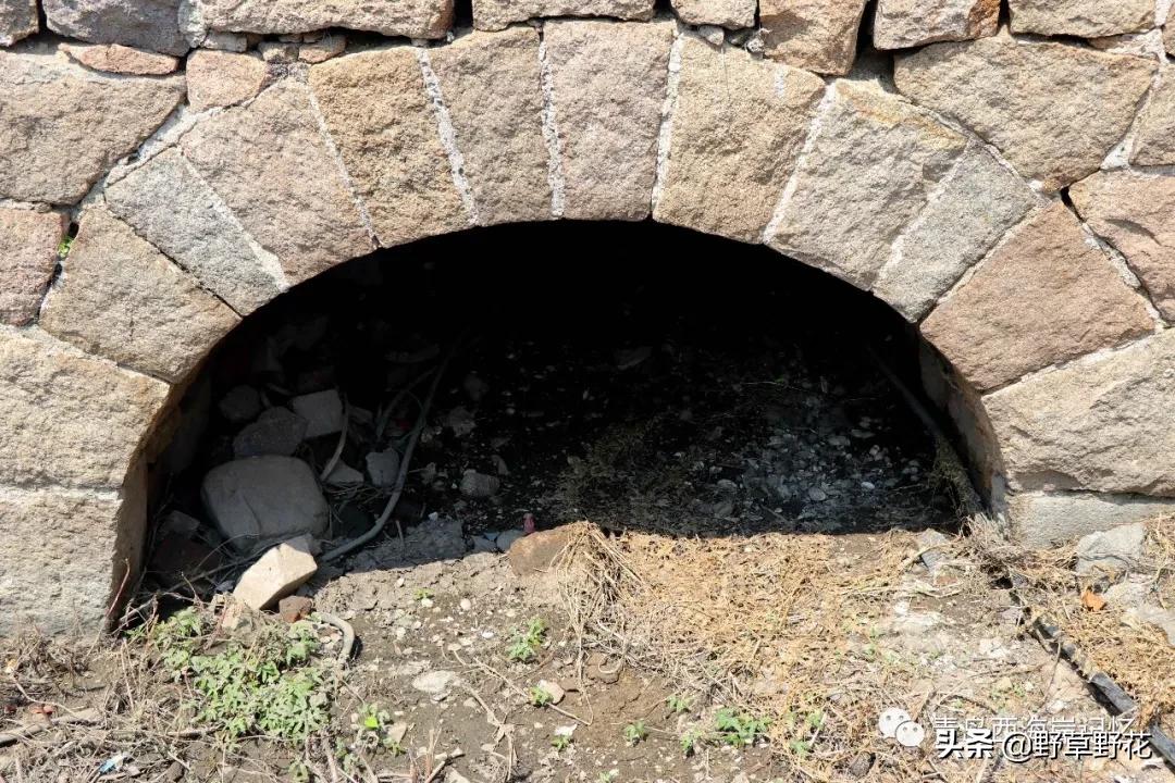 青岛西海岸新区灵山岛简介,青岛西海岸新区历史文化名城