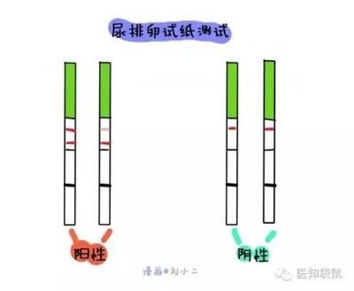 备孕篇：排卵期，你会推算吗？