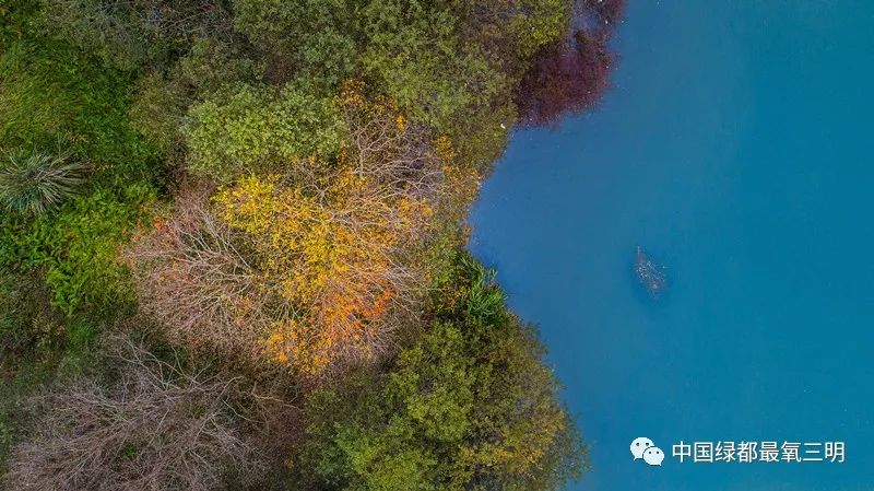 中国绿都三明旅游攻略,中国绿都乐购三明直播节明溪