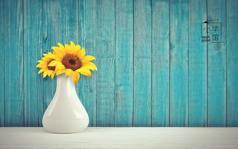 课外班现在可以上吗,课外培训班不能上了吗