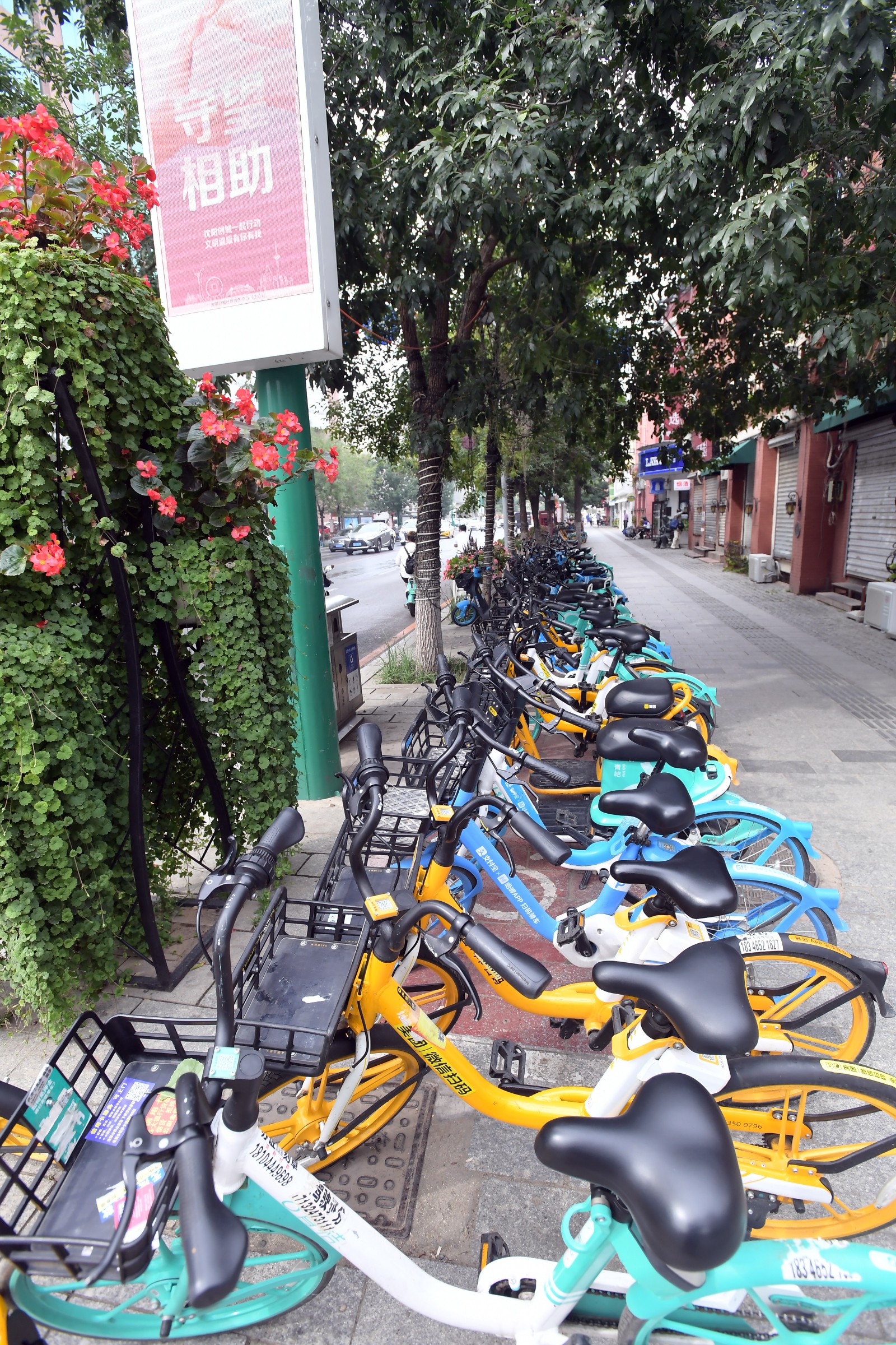 努力建设高质量发展高品质生活示范区和平一家人创卫攻坚忙