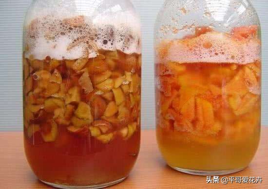 养茉莉花，一个花苞都没有？只需浇“2种水”，花苞多、开花量大