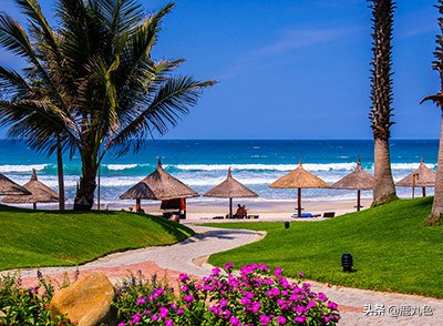 越南芽庄红沙丘白沙丘游记,越南芽庄游记感悟