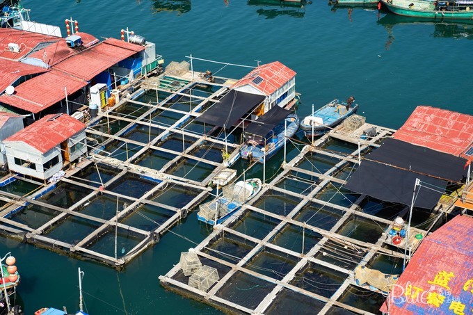 三亚南湾猴山岛,三亚南湾猴岛好玩的地方