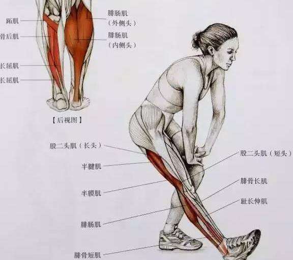 小腿粗怎么改善粗腿,小腿太粗怎么办