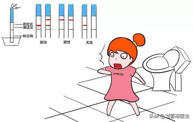 b超监测排卵怀孕成功率有多少,17号排卵几号做b超能查出怀孕