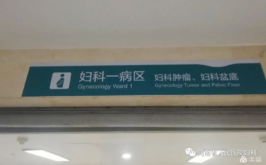 在河南省人民医院妇科一的日子