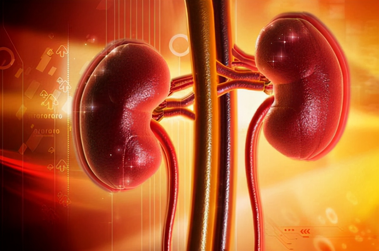 中医对紫癜性肾炎的治疗方法,中医治紫癜性肾炎的效果怎样