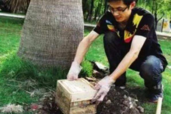 宝宝的胎盘埋了可以重头挖出来吗,宝宝的胎盘