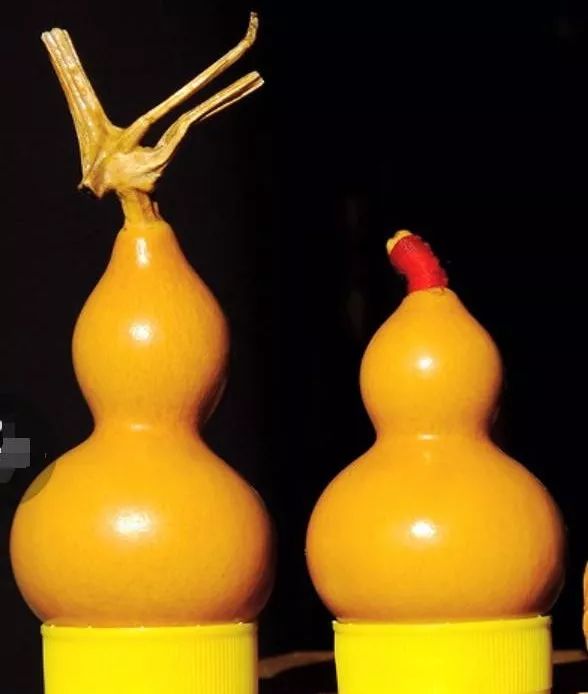 文玩葫芦能用橄榄油盘吗,文玩葫芦不上油可以盘红吗