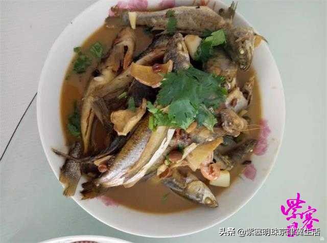 韩姐在乐亭农家最新视频,唐山乐亭韩姐农家院电话