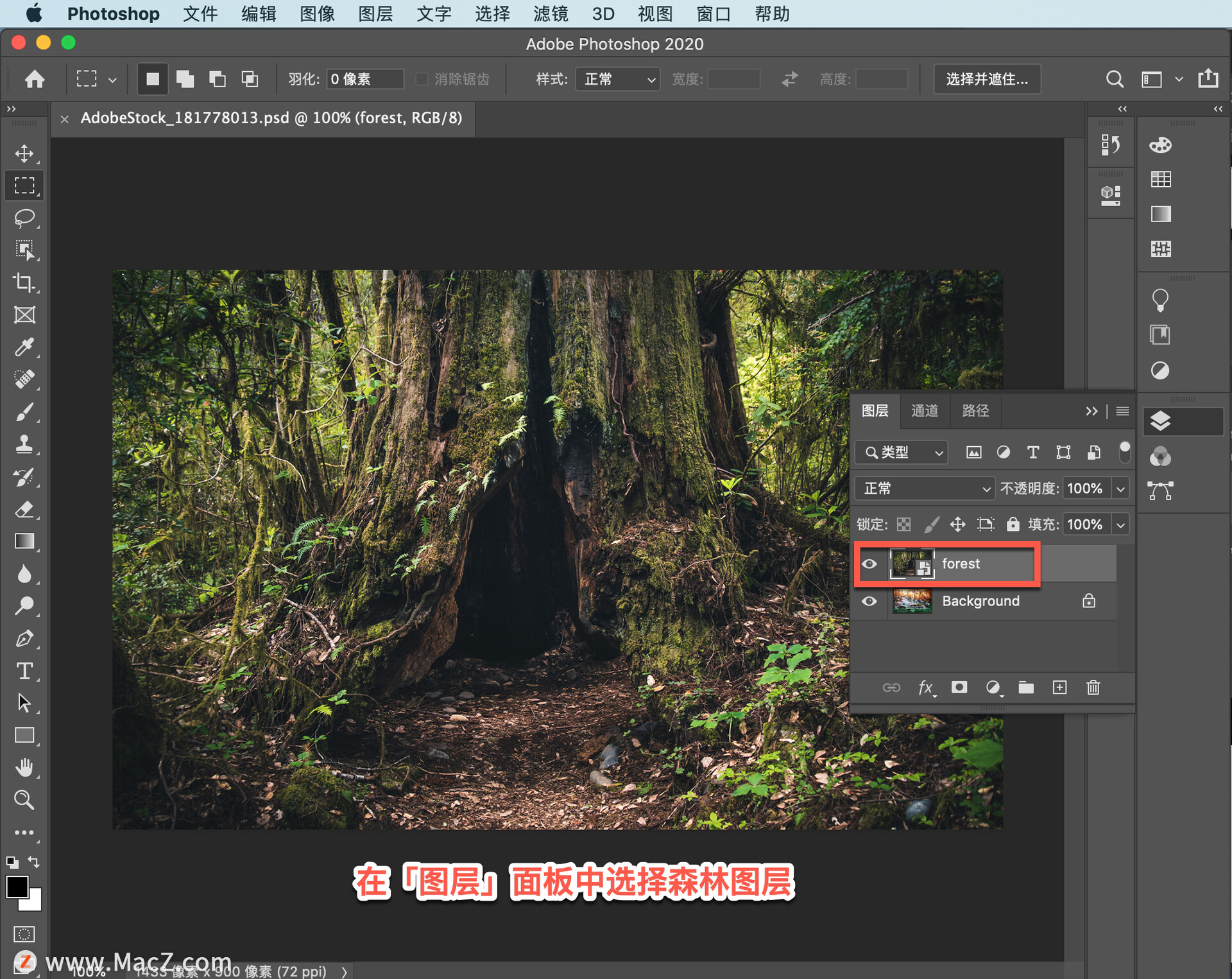ps怎么结合图层蒙版制作动图,ps如何用蒙版提亮局部