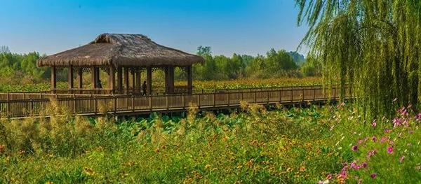 从淄博到日照旅游详细路线是什么,济南淄博潍坊烟台威海青岛日照