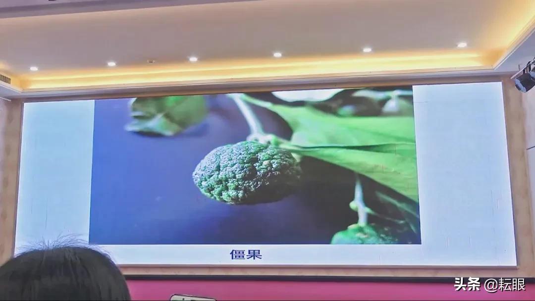 有了红鼻子怎么办,有红鼻头会怎样