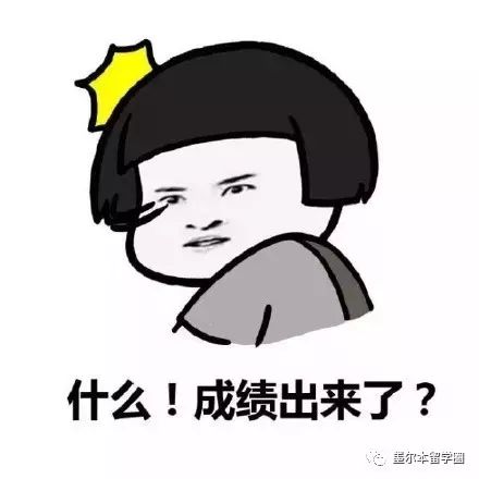 rmit已经出分了吗,rmit成绩