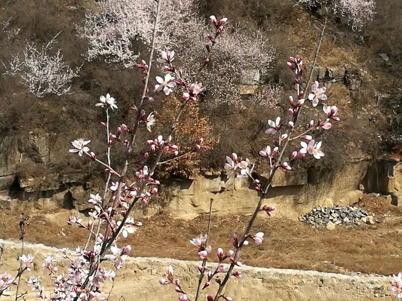 晋城司徒小镇异域风情,晋城皇城相府和司徒小镇